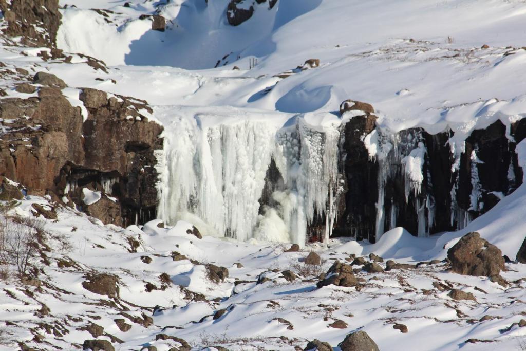 Hotel Austur Reydarfjordur Dış mekan fotoğraf