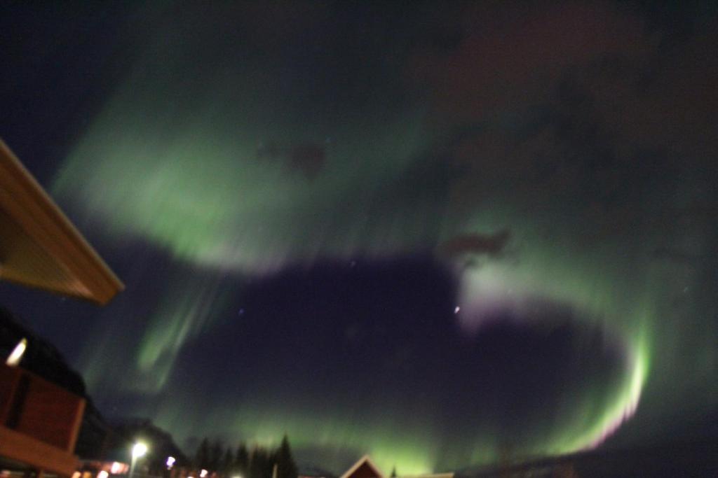 Hotel Austur Reydarfjordur Dış mekan fotoğraf